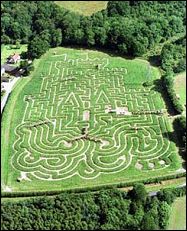 Den labyrintiske have