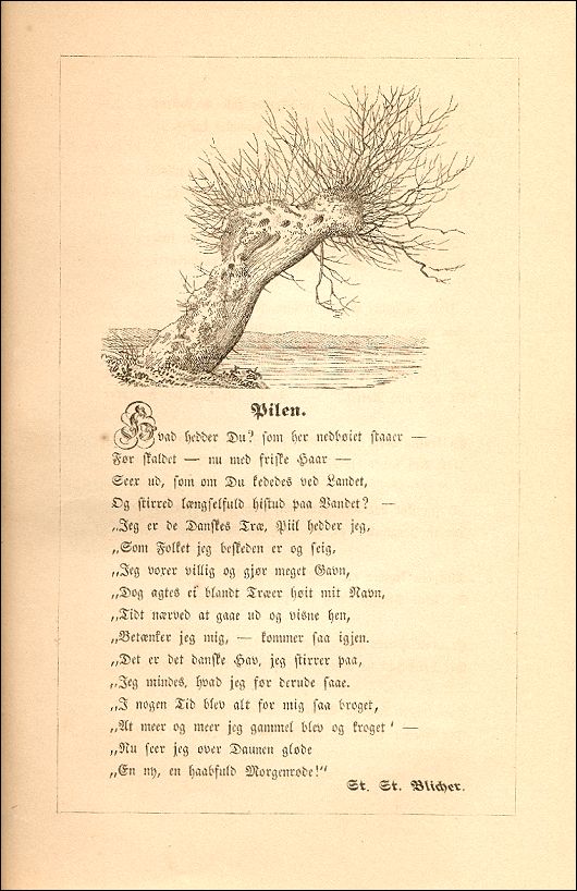 Blichers digt Pilen