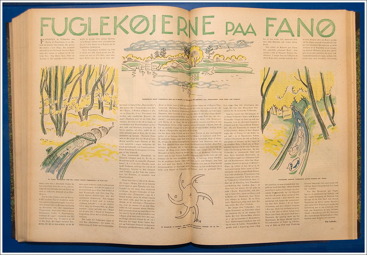 Kai Lakjers artikel om og Axel Nygaards tegninger til fuglekøjerne på Fanø i Politikens Magasinet 20. november 1927