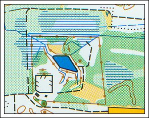 Ternedal Fuglekøje som den er opmålt på et kort for orienteringsløbere fra 1995