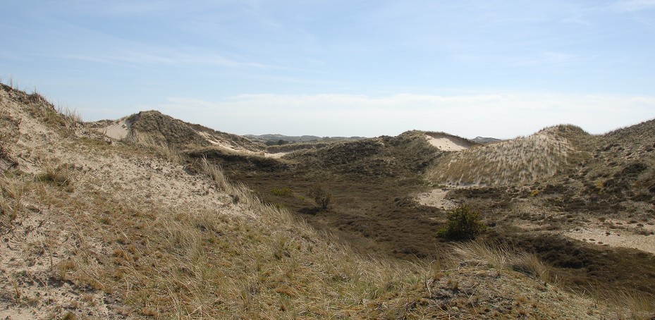 Den grå klit i Havside Bjerge. Foto Per Hofman Hansen